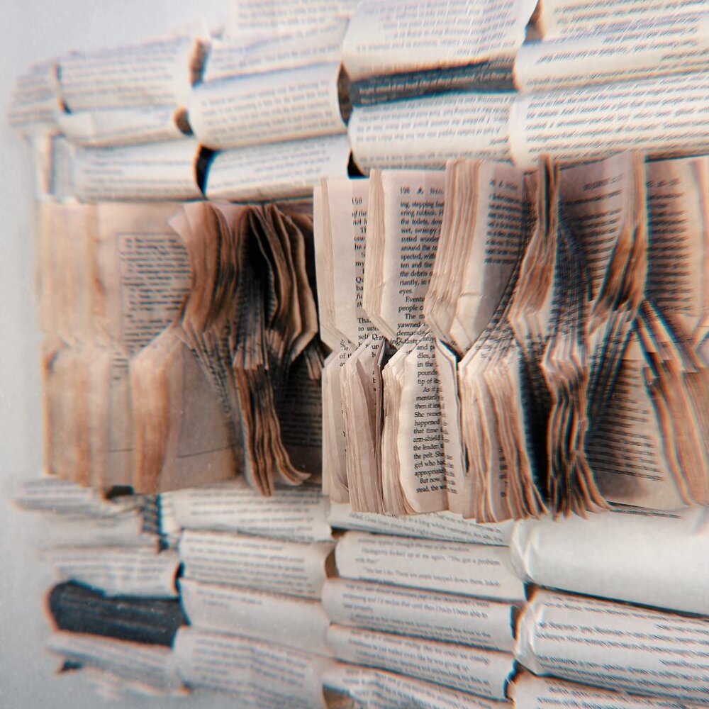 Book folded Art On Canvas / 3D Book Sculpture / Book Origami / Book Page Art /
